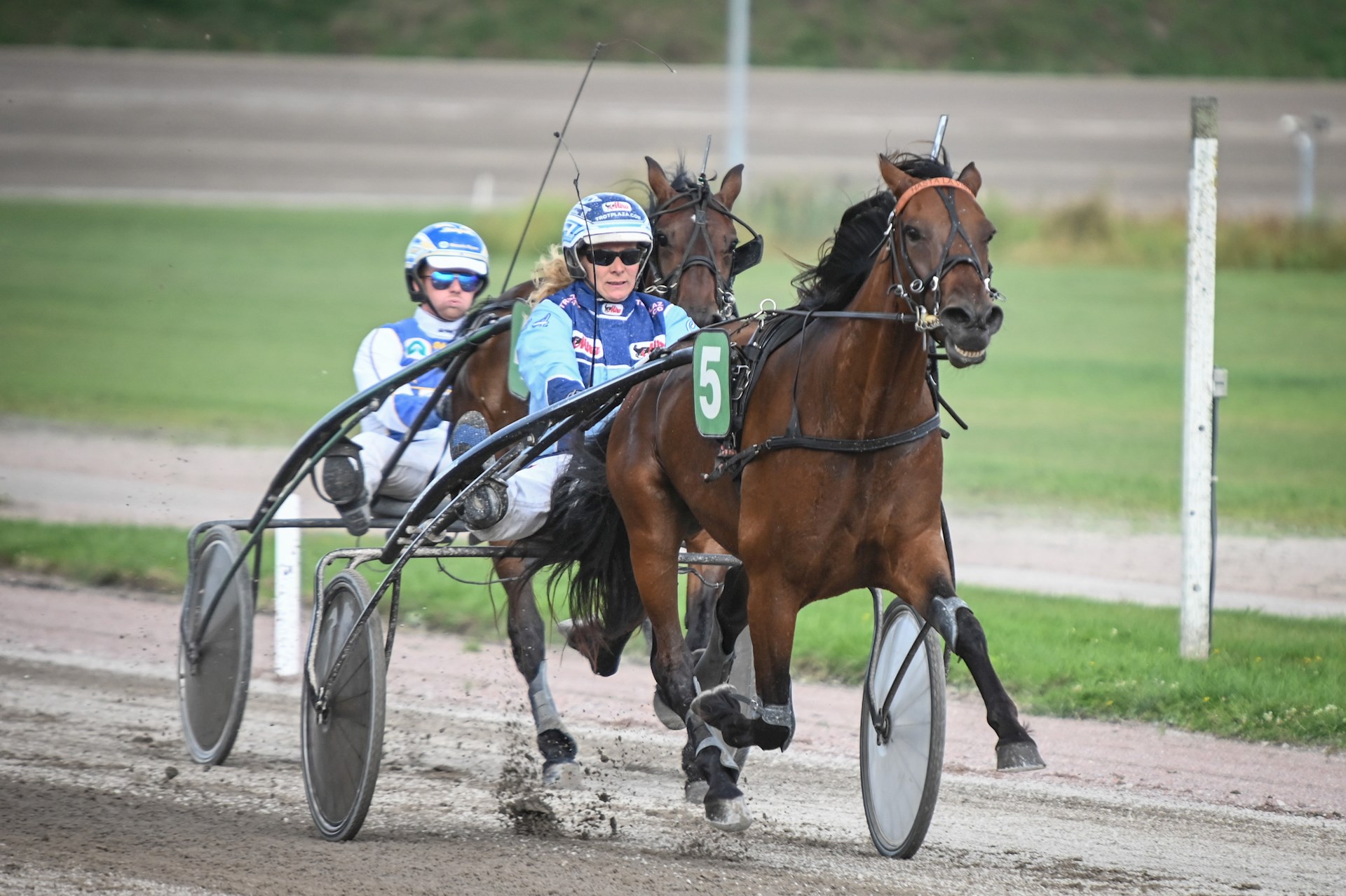 Alle paarden plaatsgelden op Gelsenkirchen. Hasta, Ennyus en Frederique tweede, Knocks derde, Havana vijfde en Gabor zevende