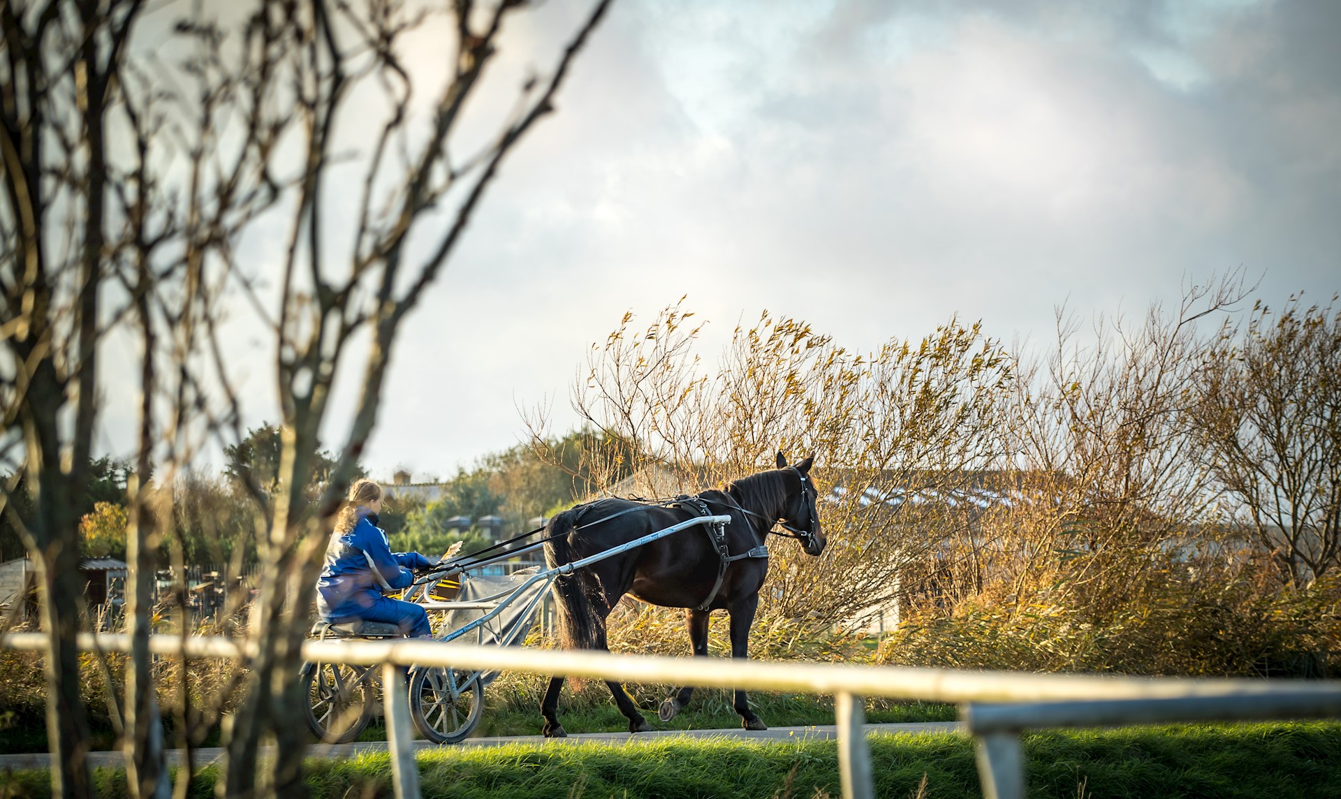 Havana derde en Hasta zesde in Gelsenkirchen (1)