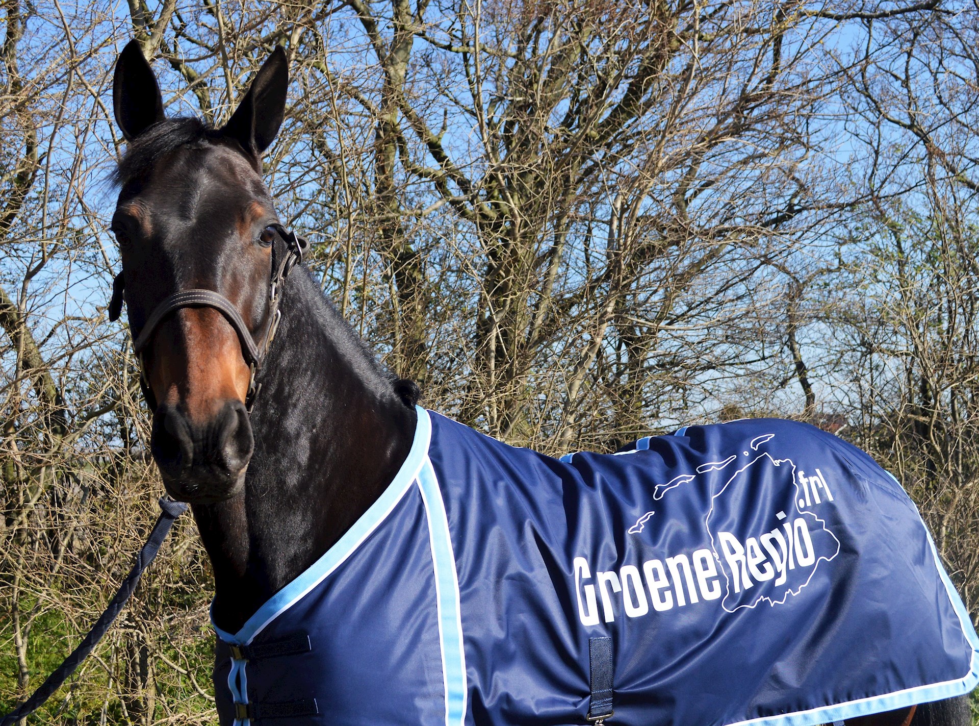 Fip wint zijn derde koers op rij! Gaya en Gabor beide tweede en Juliette een prima derde plek op Alkmaar.