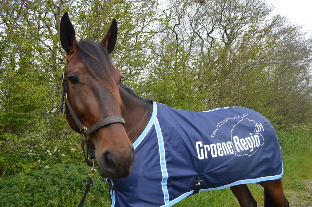 Lovely vijfde op Duindigt.