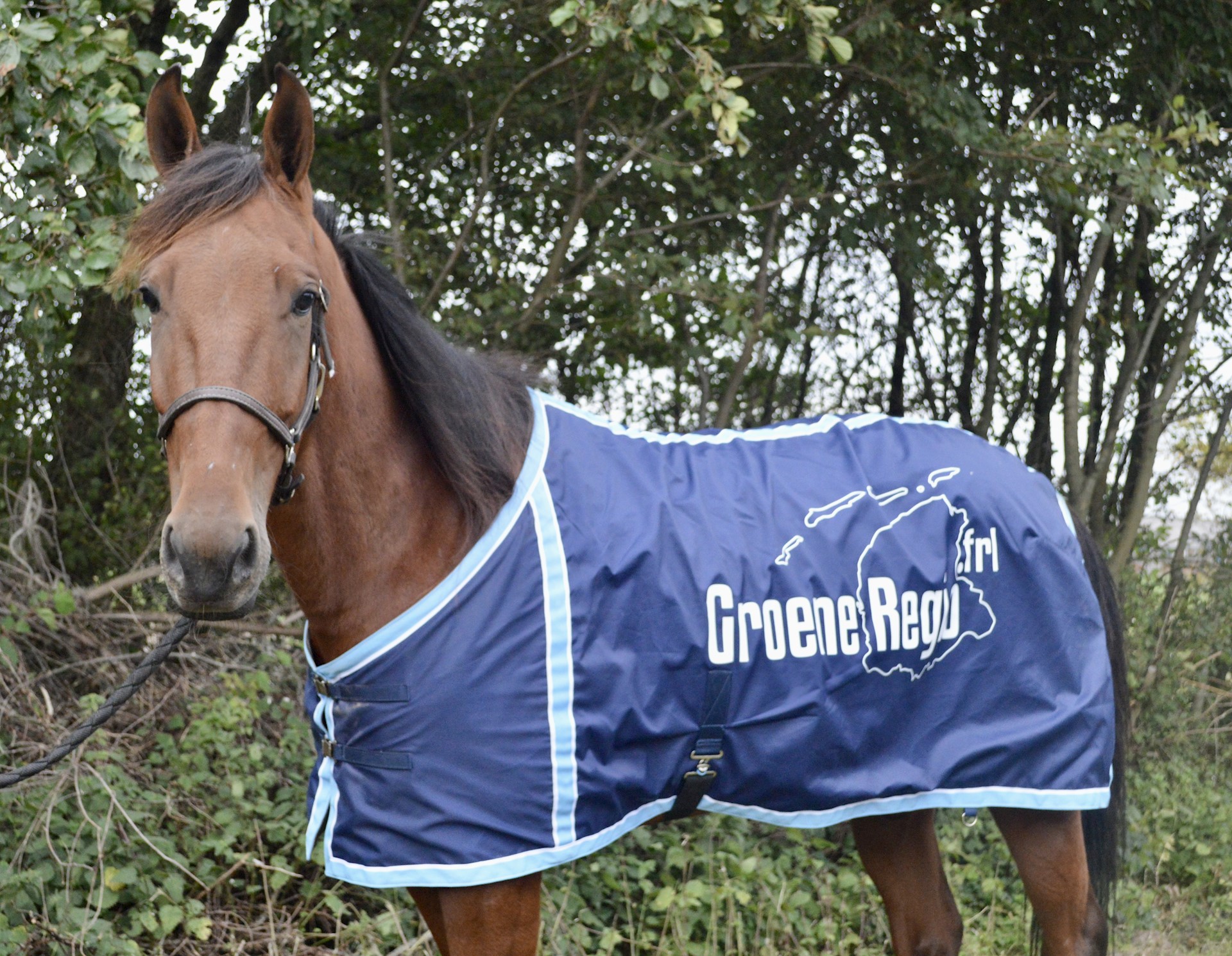 Cassidy Byd wint de kortebaan van Nootdorp!