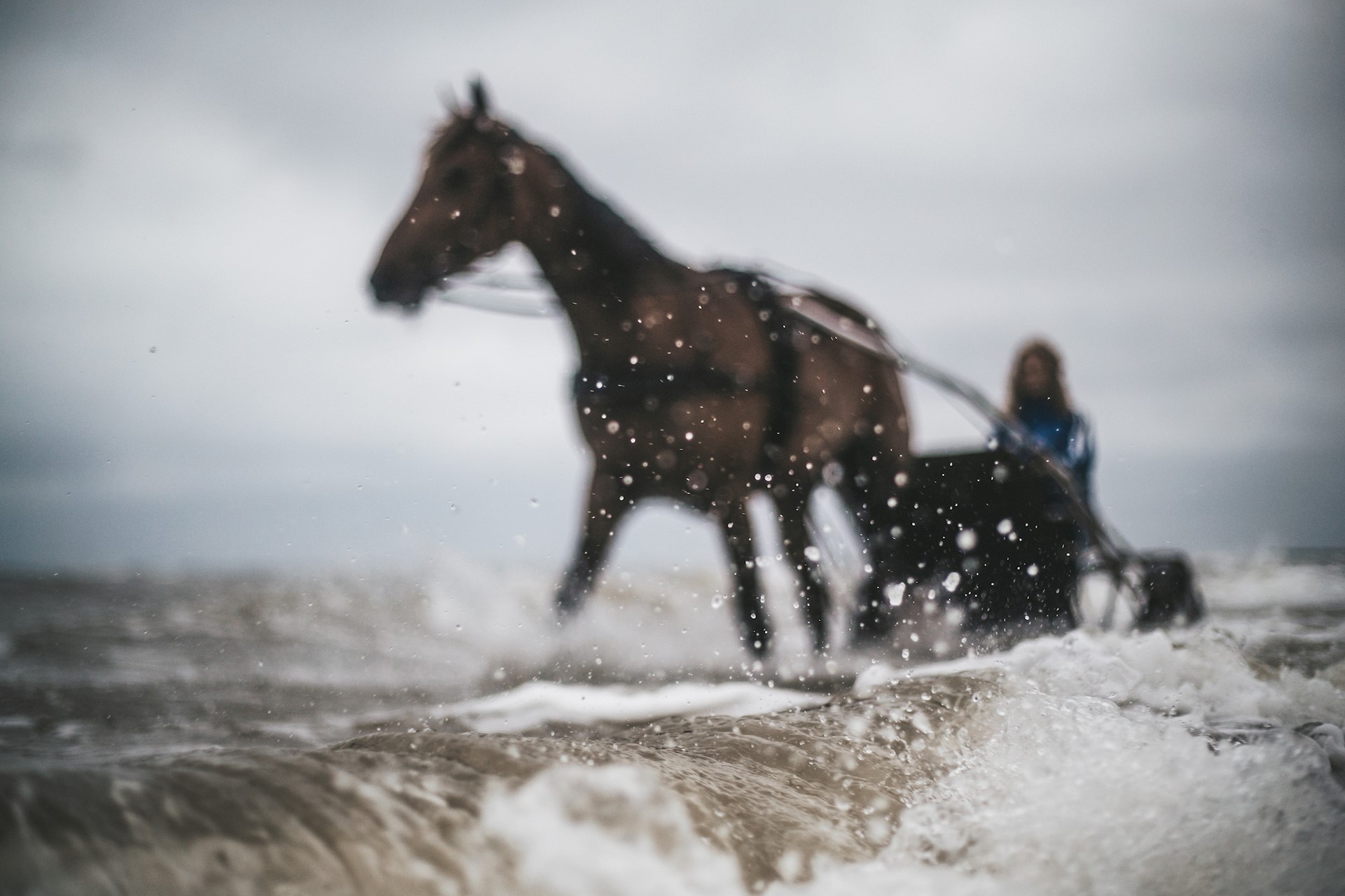 Winst voor Lop en Bas, een derde plaats voor Luigi en vijfde plaatsen voor de zusjes norg.