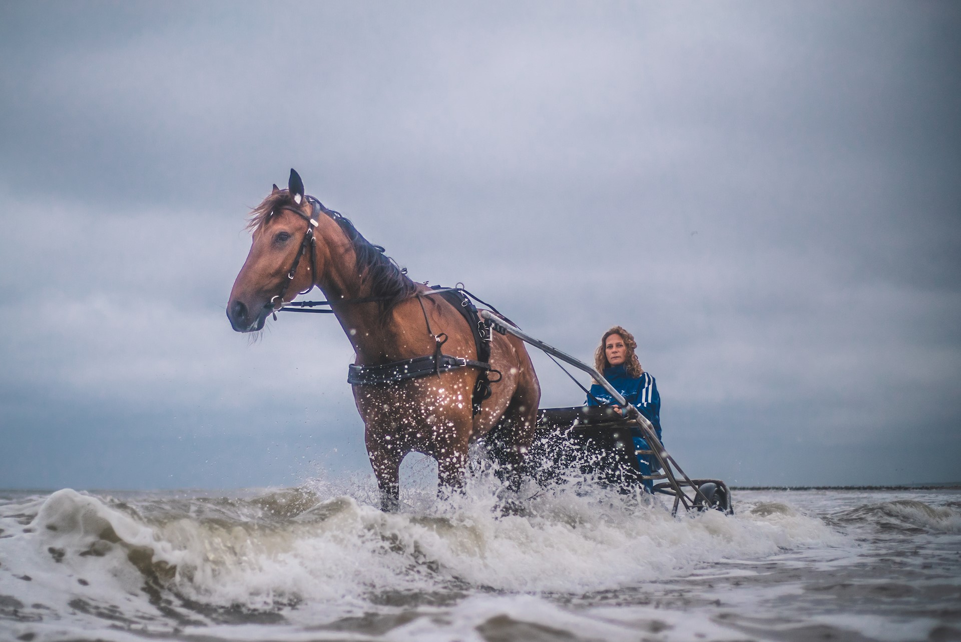 Drie overwinningen bij seizoensafsluiting op Duindigt!