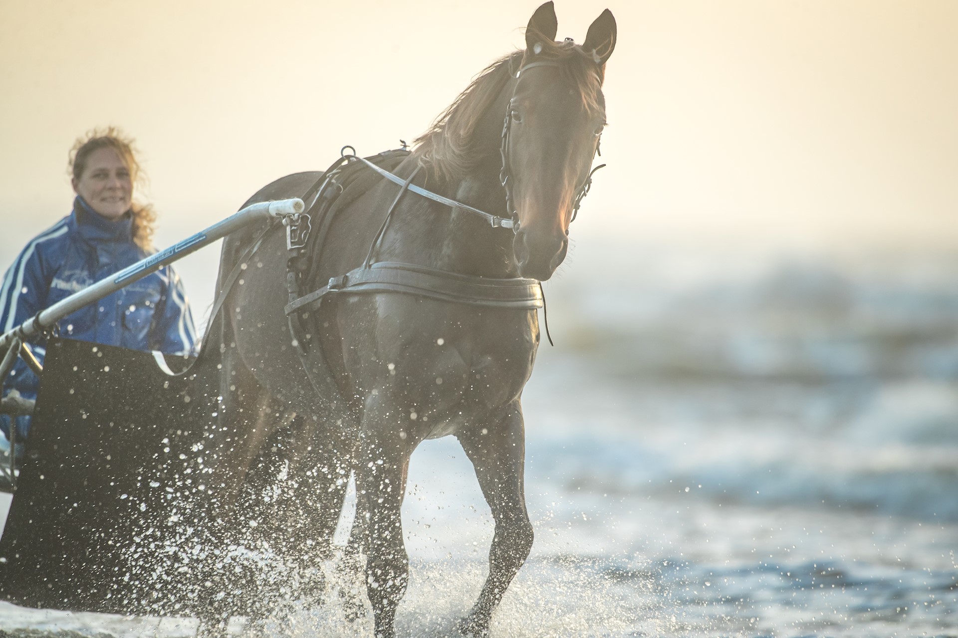Pegasus tweede en Fip Vijfde op Duindigt.
