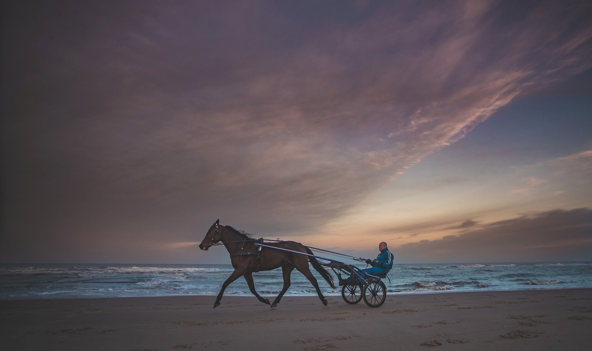 Hasta derde en Lovely vierde op Victoriapark Wolvega.