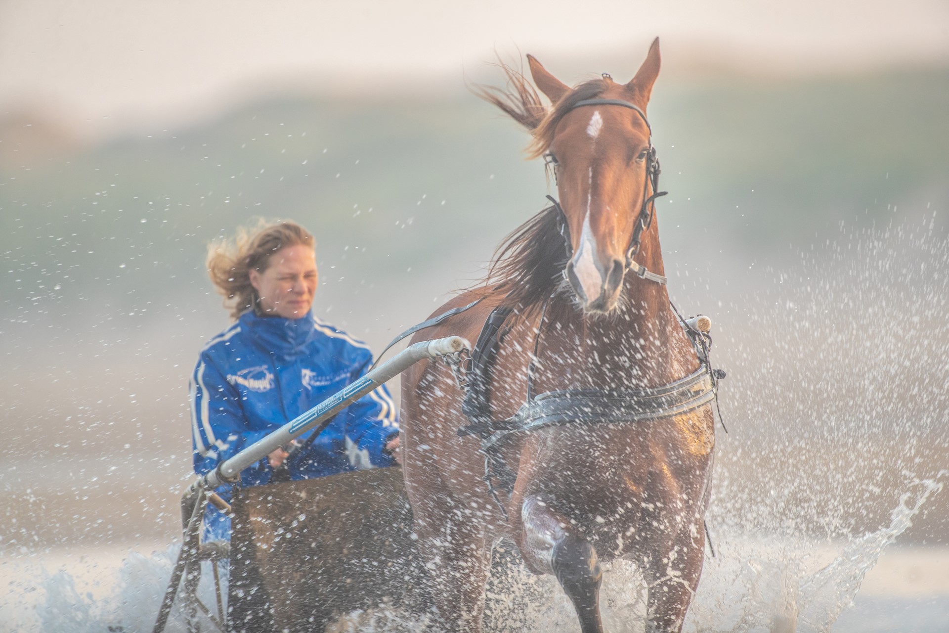 Victoria Park Wolvega vandaag; Luigi tweede, Knocks derde en Lopp zesde.