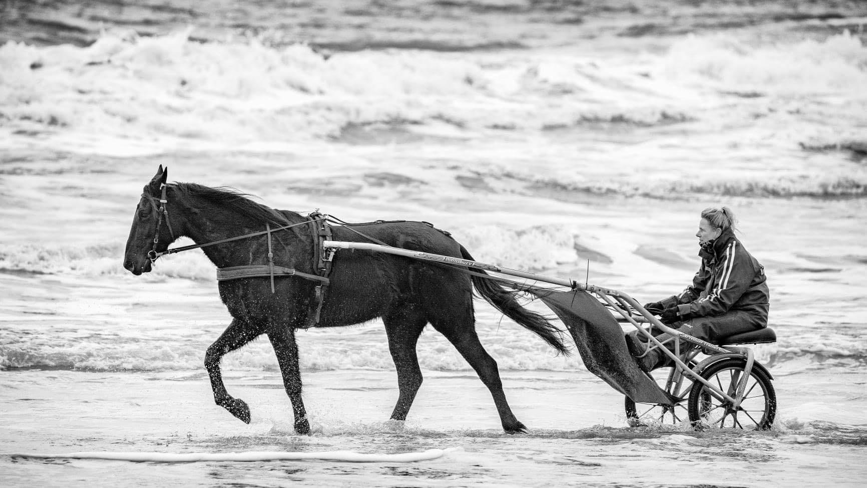 Juliette wint met overmacht op Alkmaar, Kai sterk tweede, Mien en Cassidy vierde en Gaya vijfde.