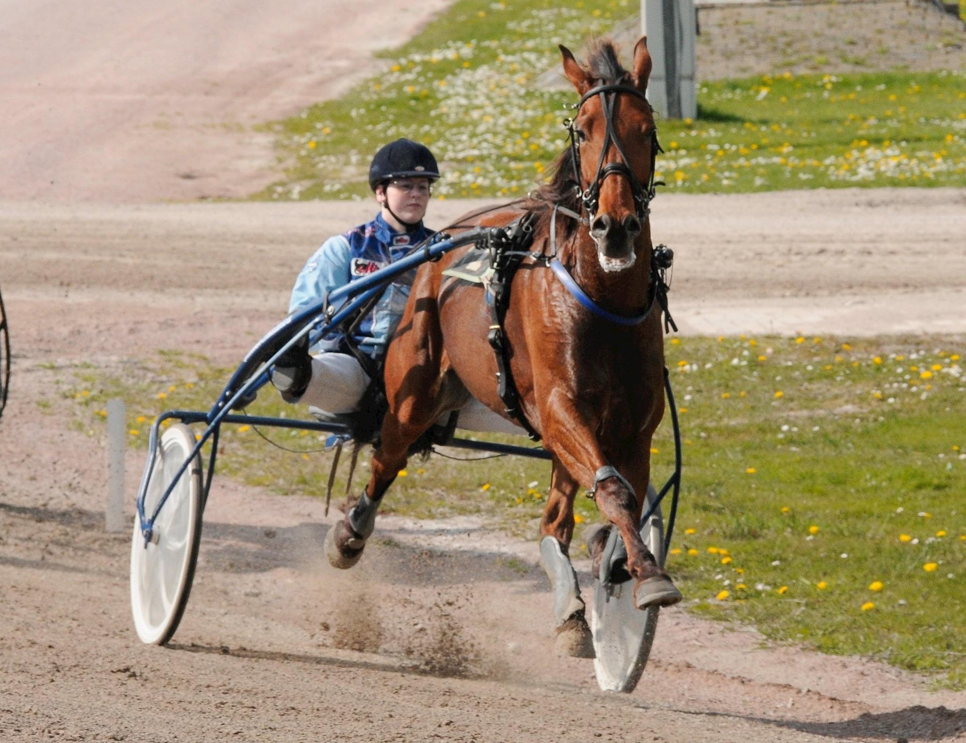 Cassidy derde en Jet vijfde op de kortebaan in Purmerend!