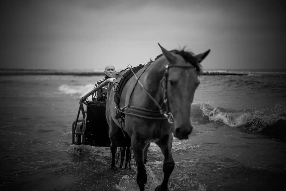 Hasta derde op de kortebaan van Stompwijk.