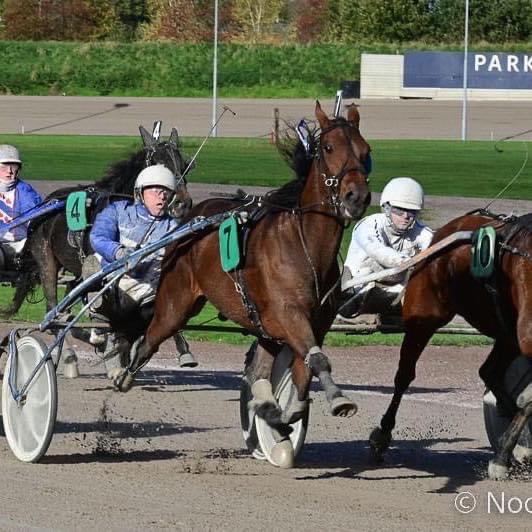 Lucky Wint Eenvoudig De Alkmaar XXL Koers Op Victoria Park Wolvega ...