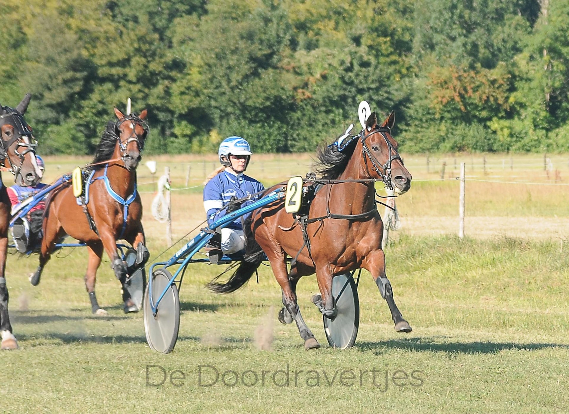 Tweede plaatsen voor Hailey, Lois en Hilto, Cassidy en Hasta vierde en Juliette vijfde op de baan van Alkmaar vandaag.