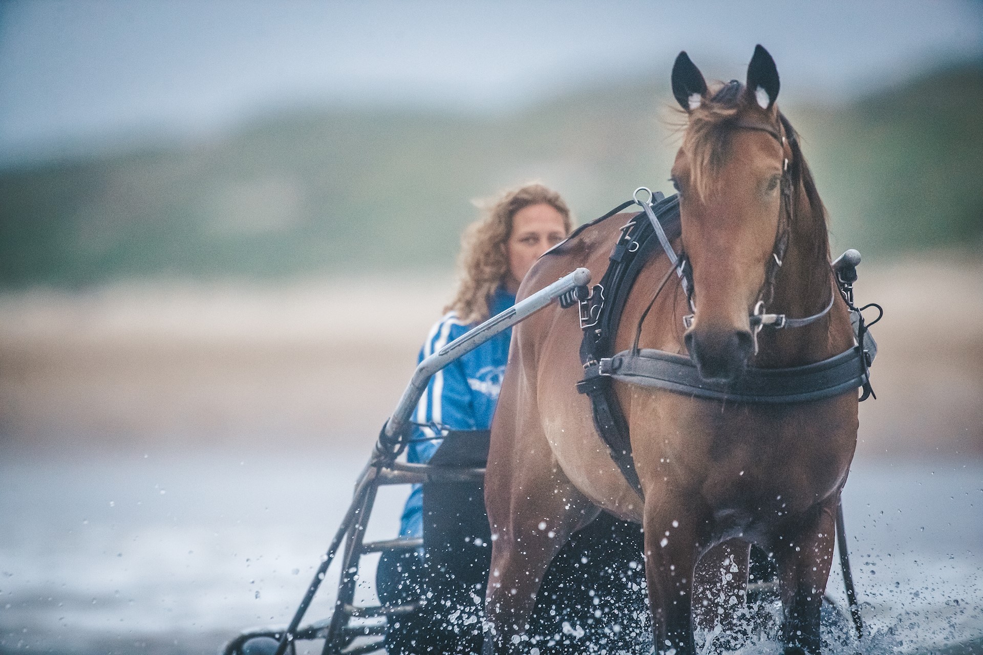 Lopp Derde Lucky Vierde En Lovely Zesde In Dezelfde Koers Op Victoria ...