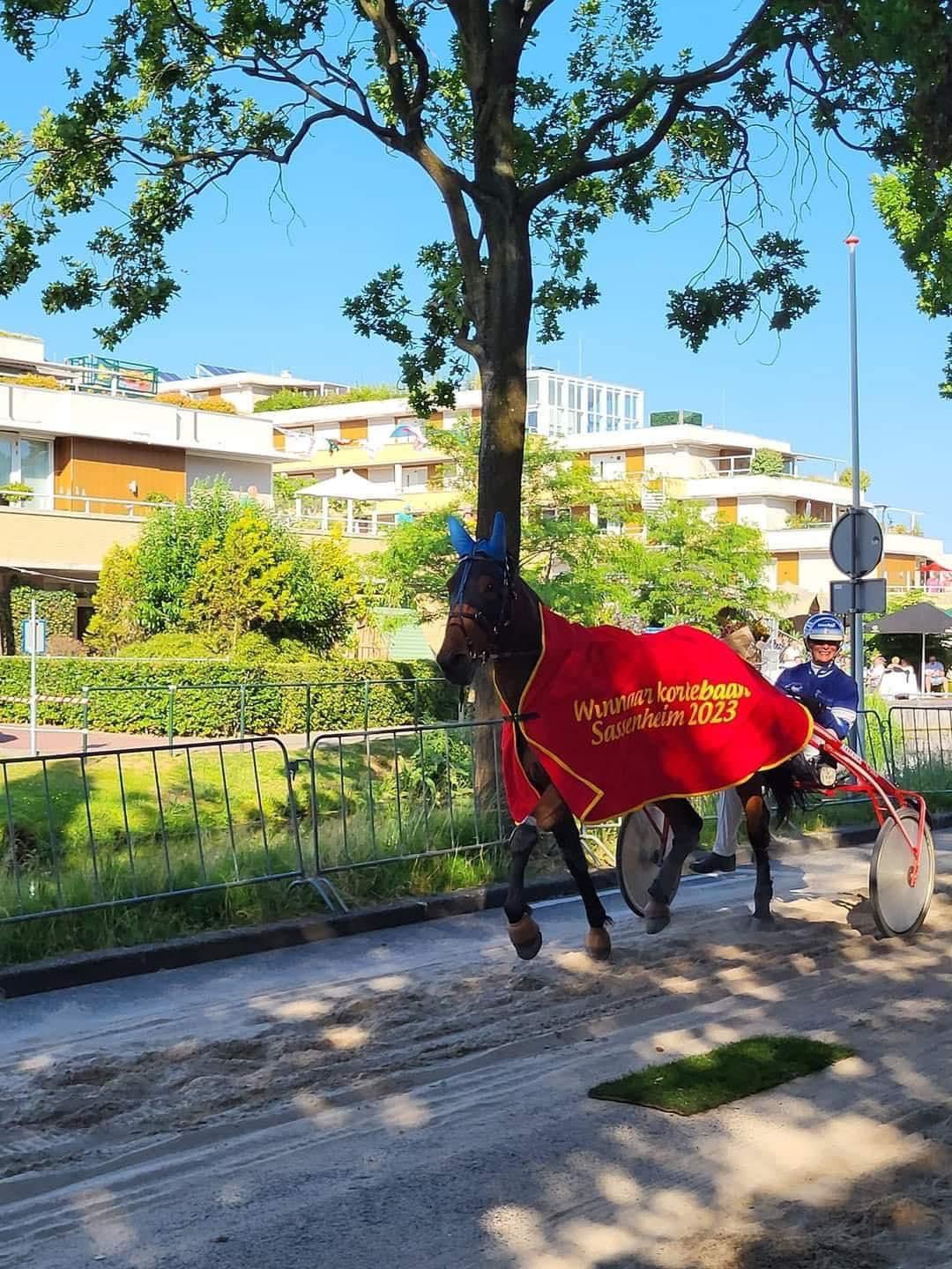 Gaya Vip wint de kortebaan van Sassenheim!