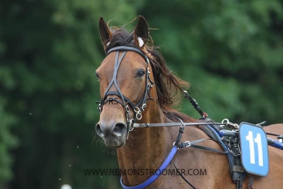 Ipriola zesde op Victoria Park Wolvega.