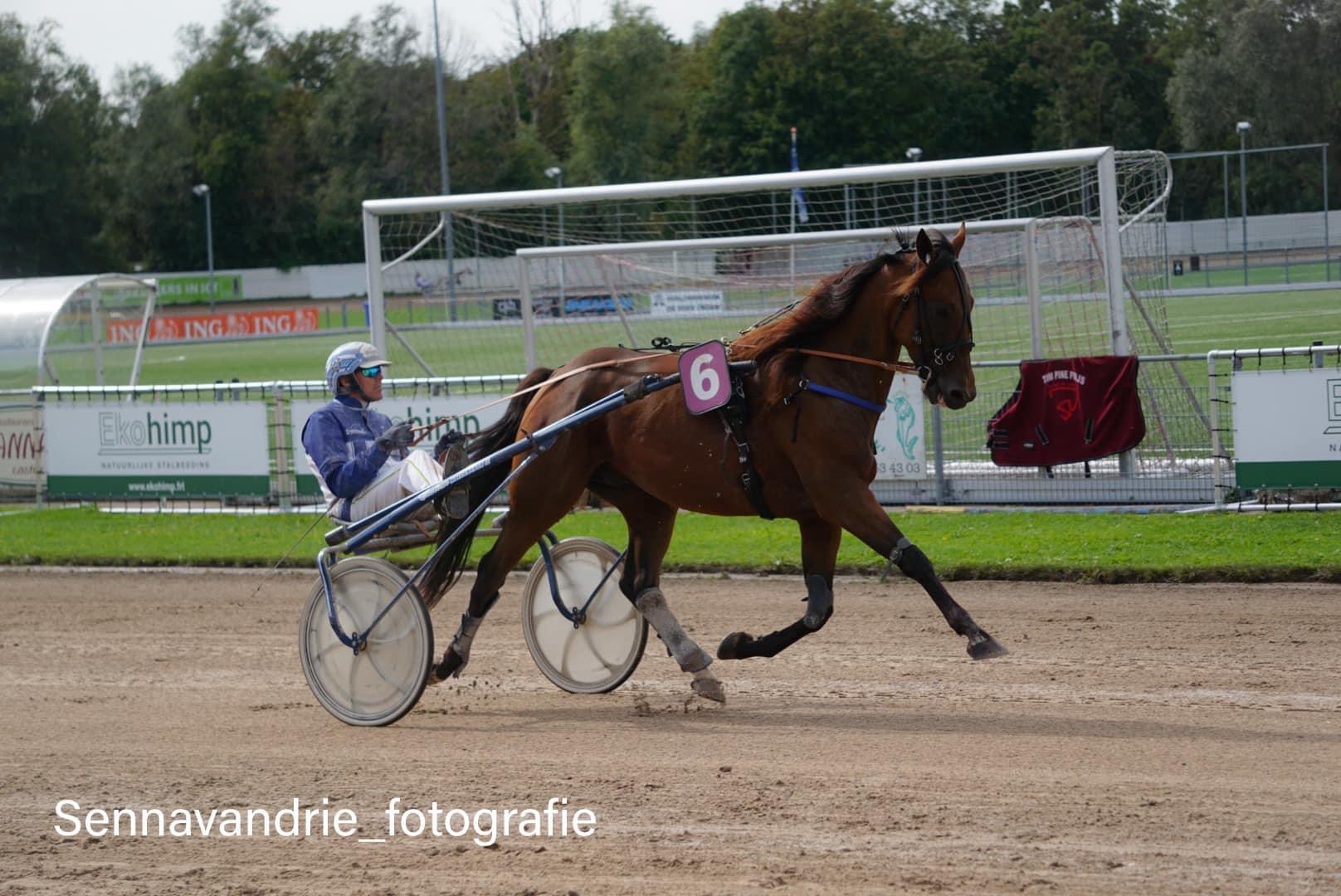 Lucky tweede, Janero vijfde en Ipriola zesde op Victoria Park Wolvega.