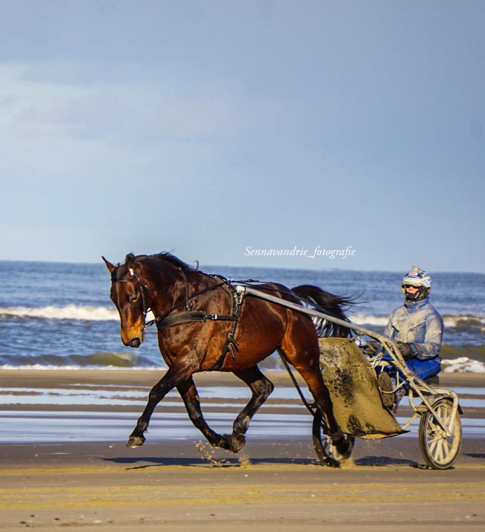 Ipriola derde, Lisboa vierde en Hequejuela zevende op Victoria Park Wolvega.