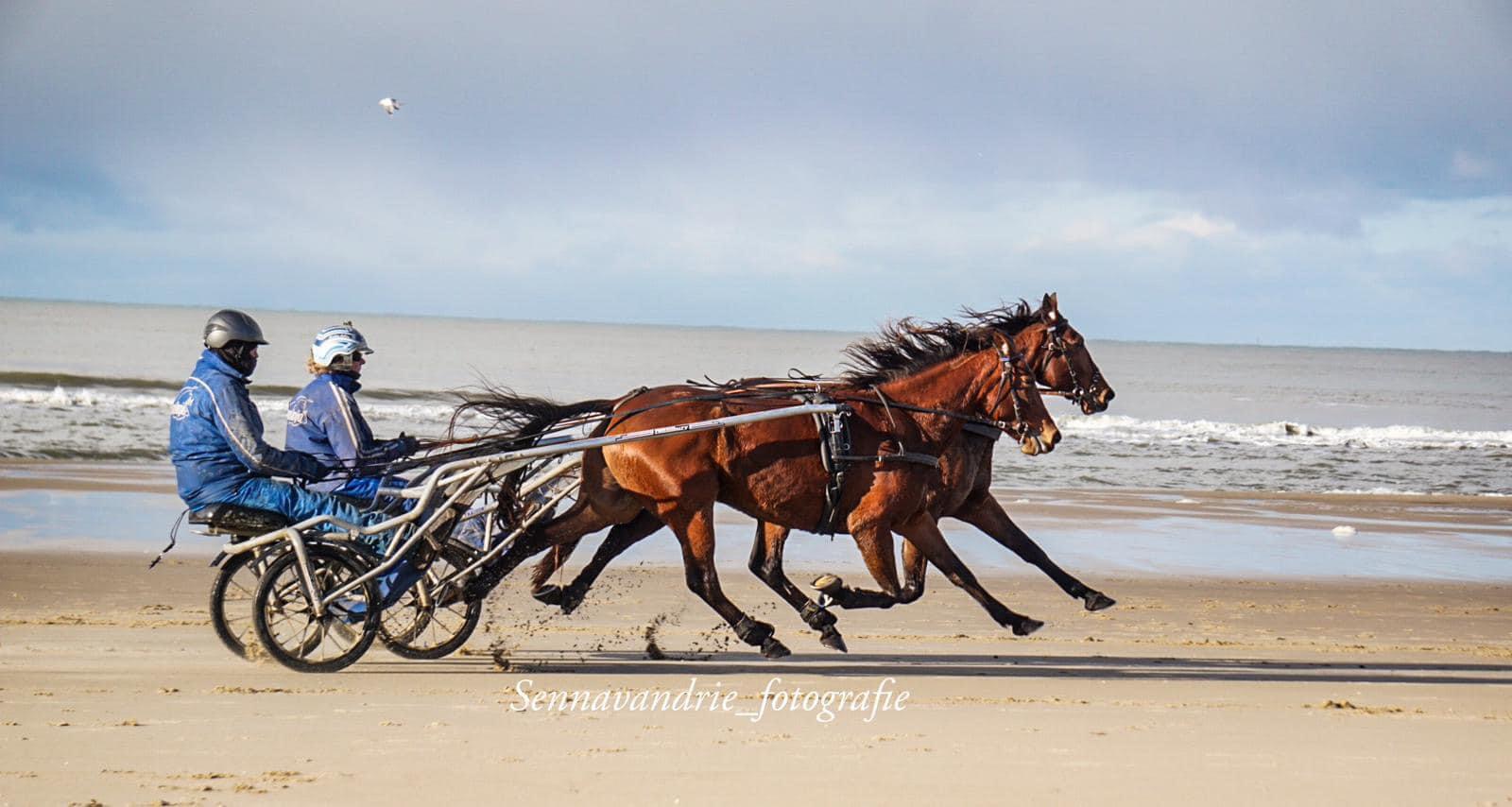 Lisboa vierde, Fado en Lop zesde op Victoria Park Wolvega.