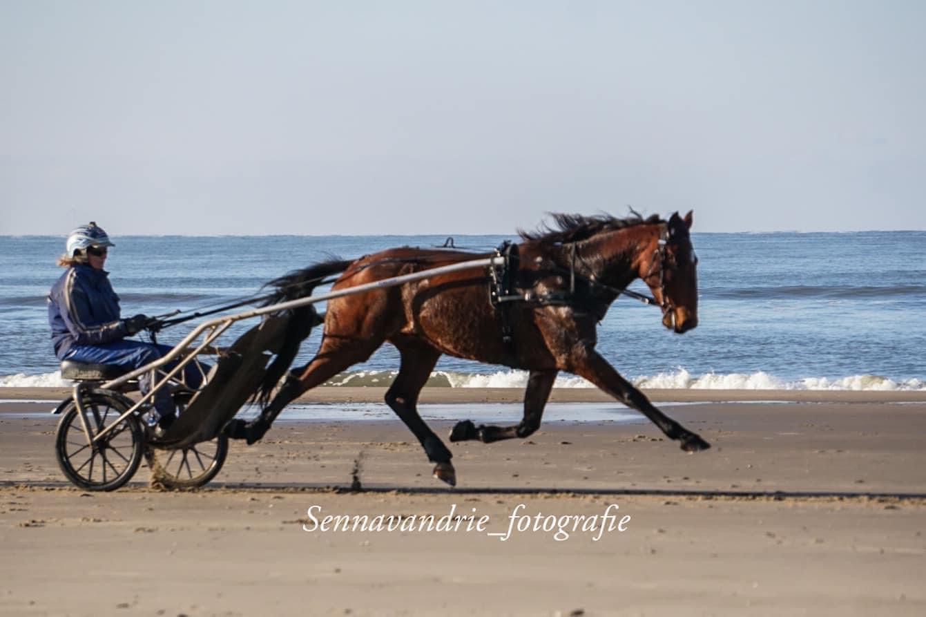 Fado vijfde op Victoria Park Wolvega.