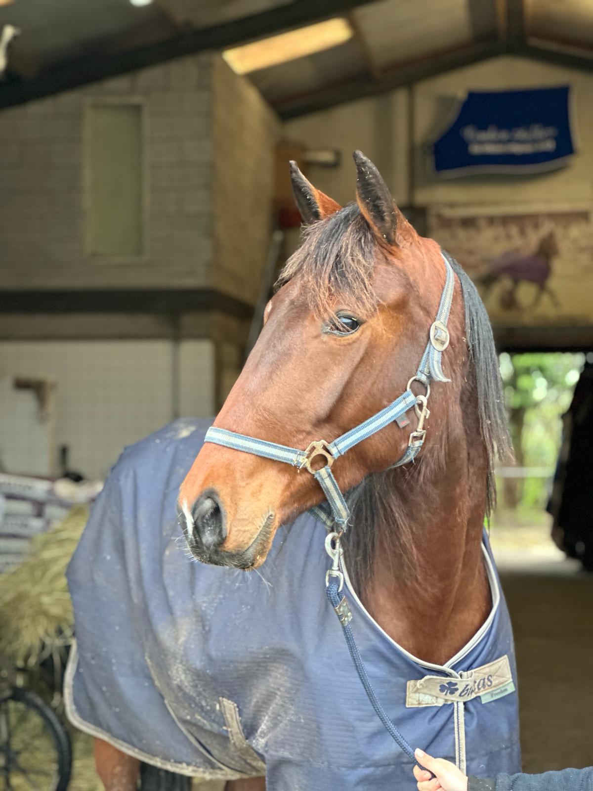 Liberty vijfde in Chalons en Champagne.