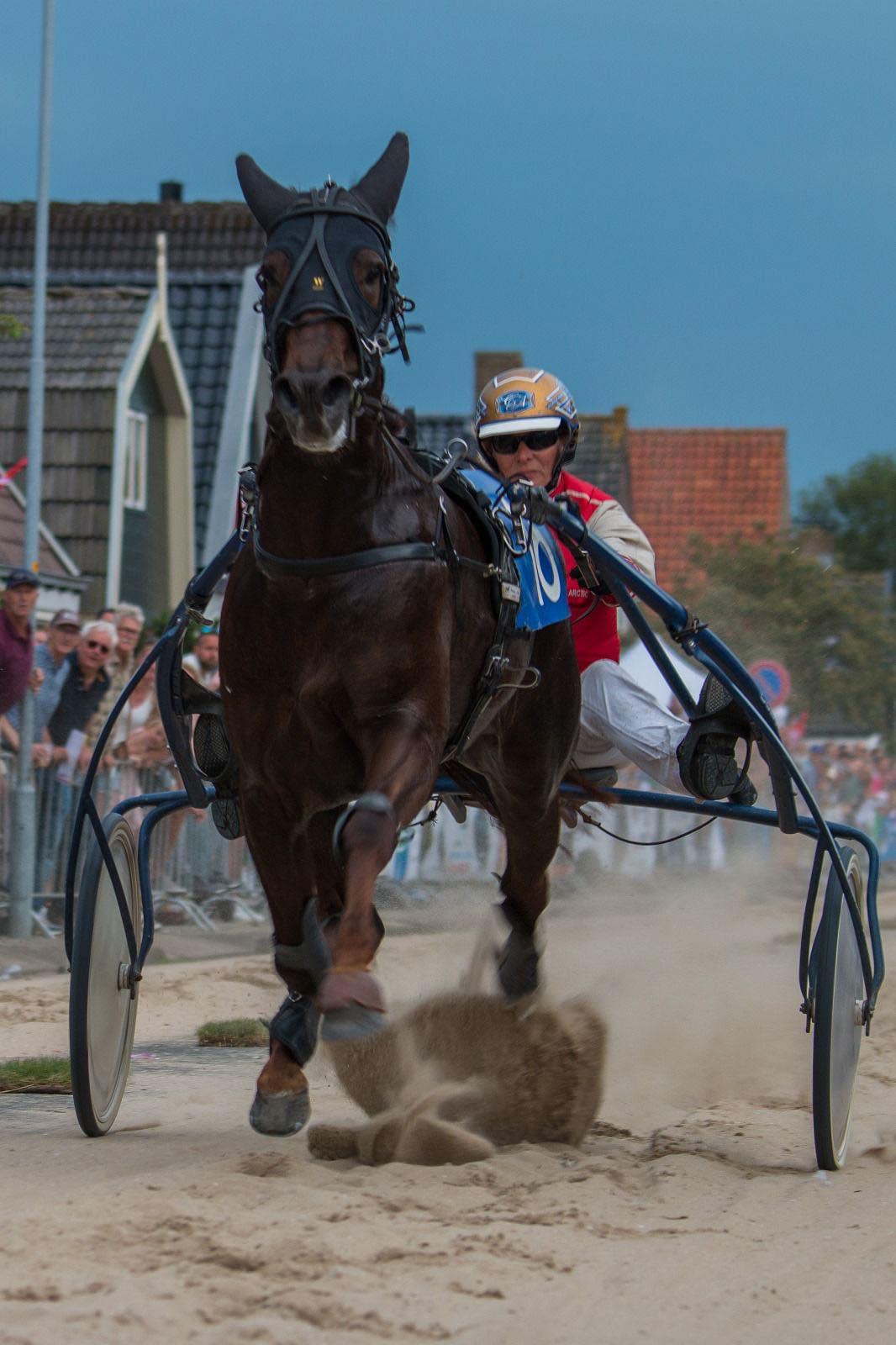 Medusa wint Stompwijk met Rosa in de sulky! Nevio mooi derde met John!
