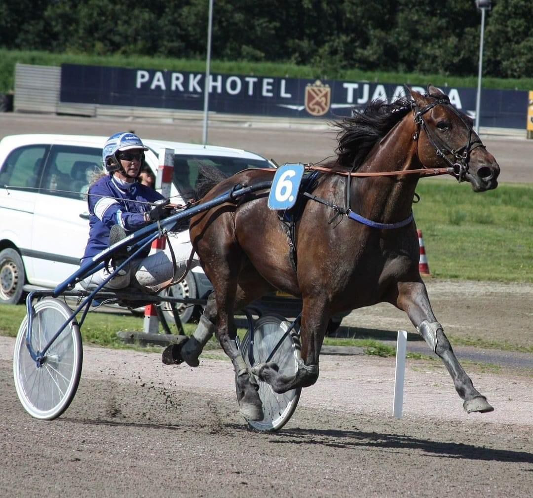 Ipriola tweede, Mona derde, Liberty vierde, Ottey en Lucky vijfde op Duindigt.