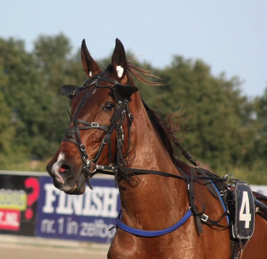 Janero zesde op Victoria Park Wolvega.