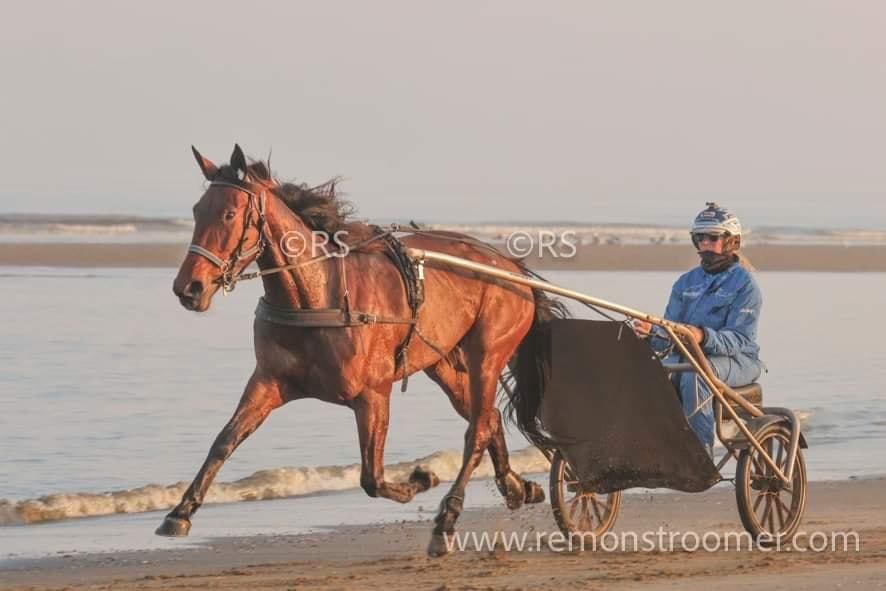 Cassiopea en Rosa derde op de kortebaan draverij in Ruiselede. (België)