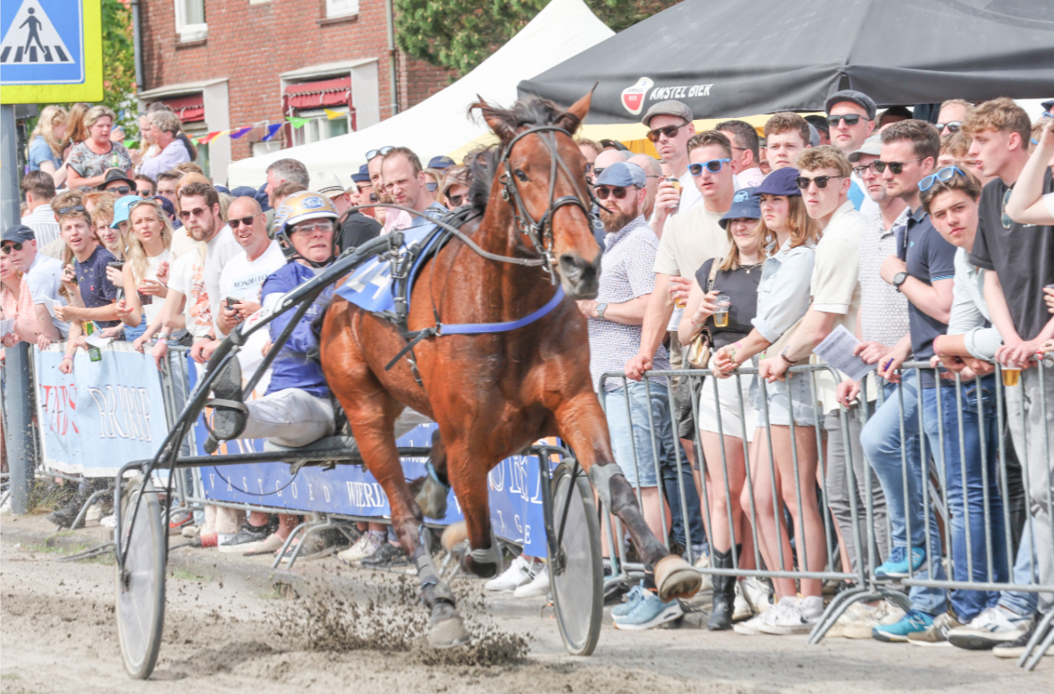 Cassiopea stelt met een zwaar bevochten derde plaats, haar welverdiende titel paard van het jaar veilig in ‘t Zand, Jetlag mooi vierde!