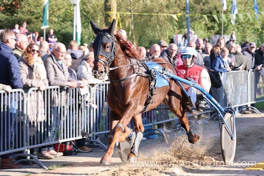 Jetlag zesde en Leo zevende op Victoria Park Wolvega.