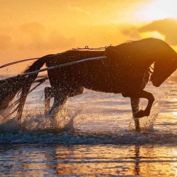 Gisteren moesten we afscheid nemen van Henk.