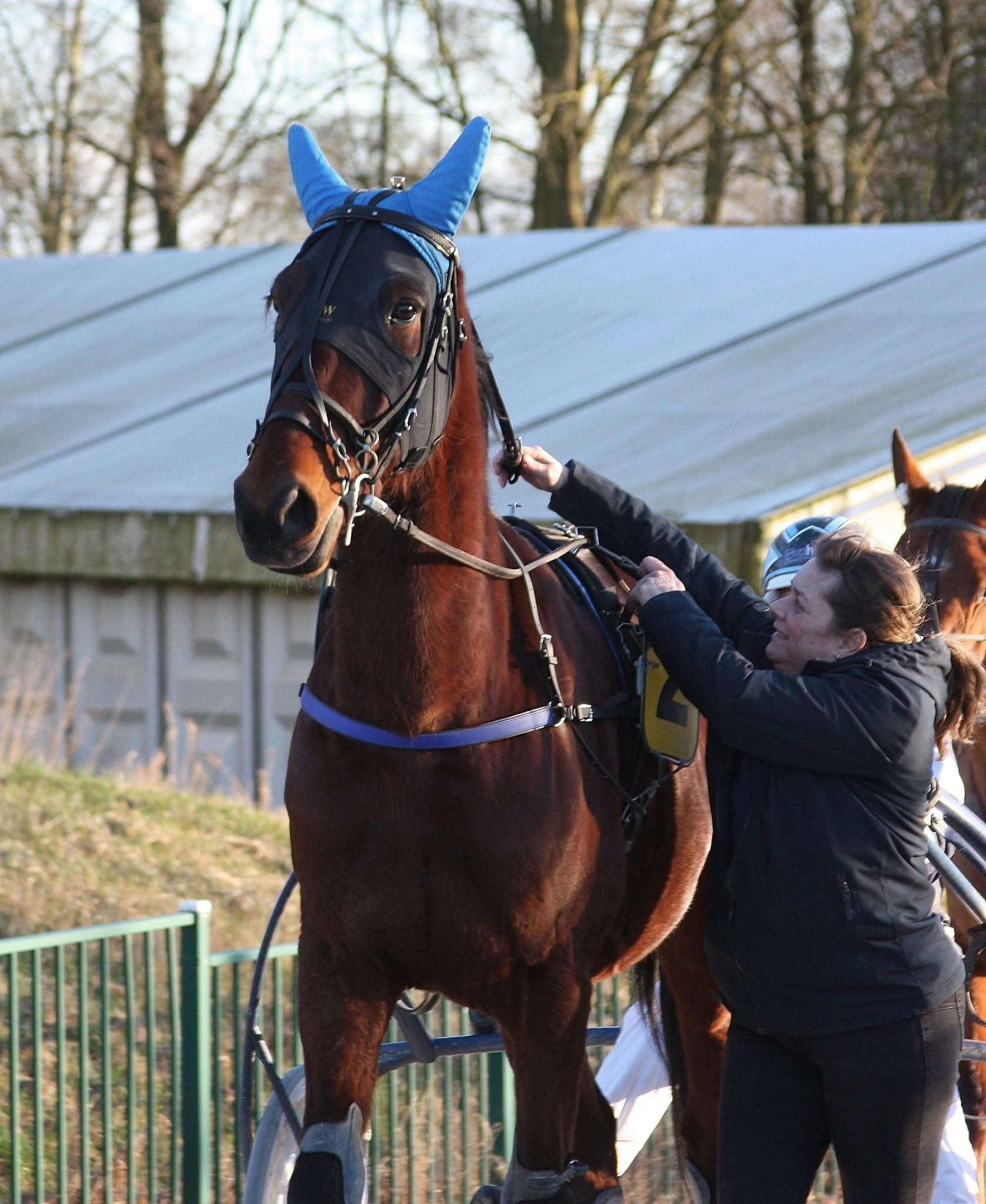 Kenzo vijfde op Victoria Park Wolvega.