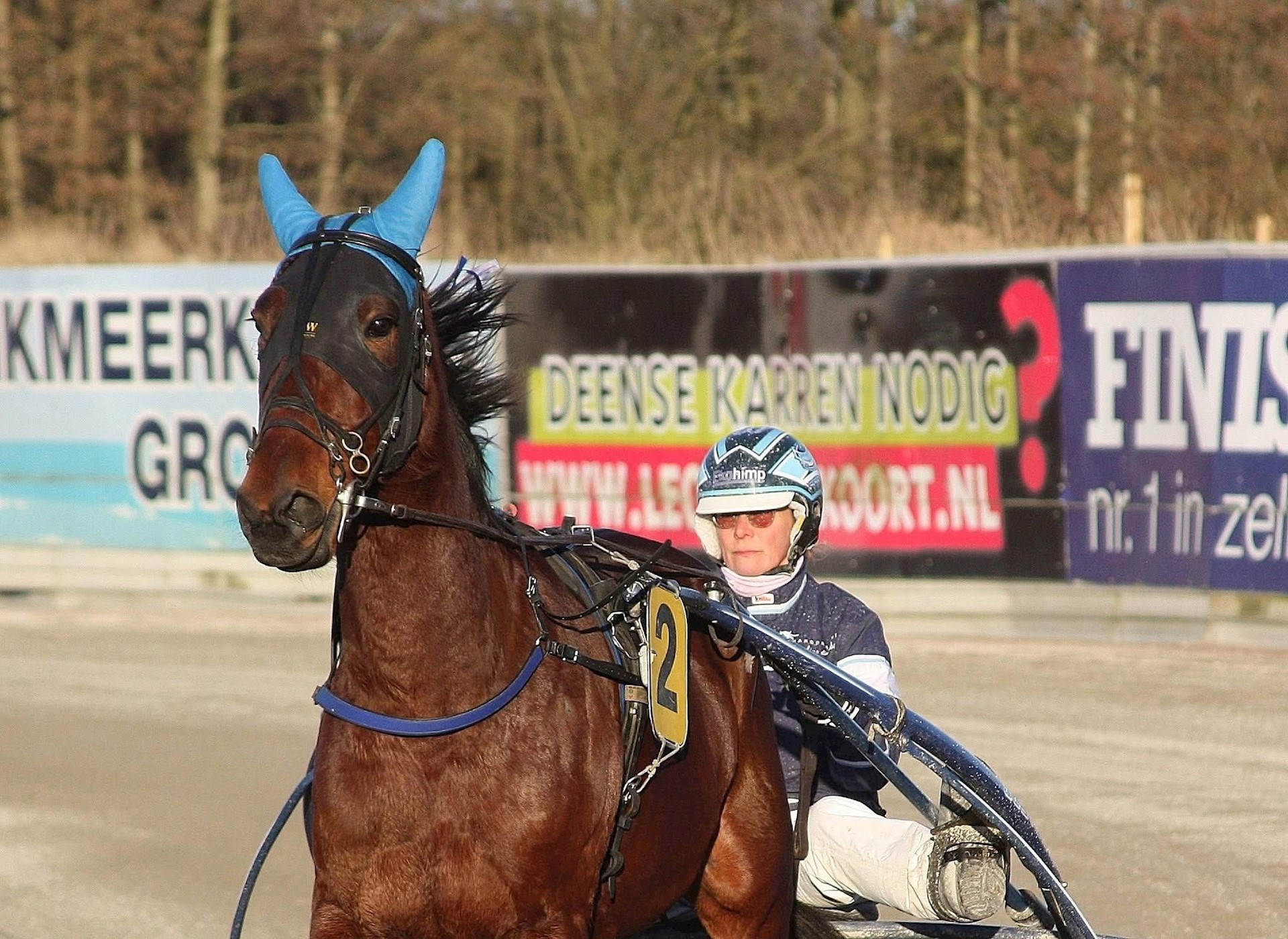 Kenzo en Liberty vierde en twee prima kwalificaties op Victoria Park Wolvega.