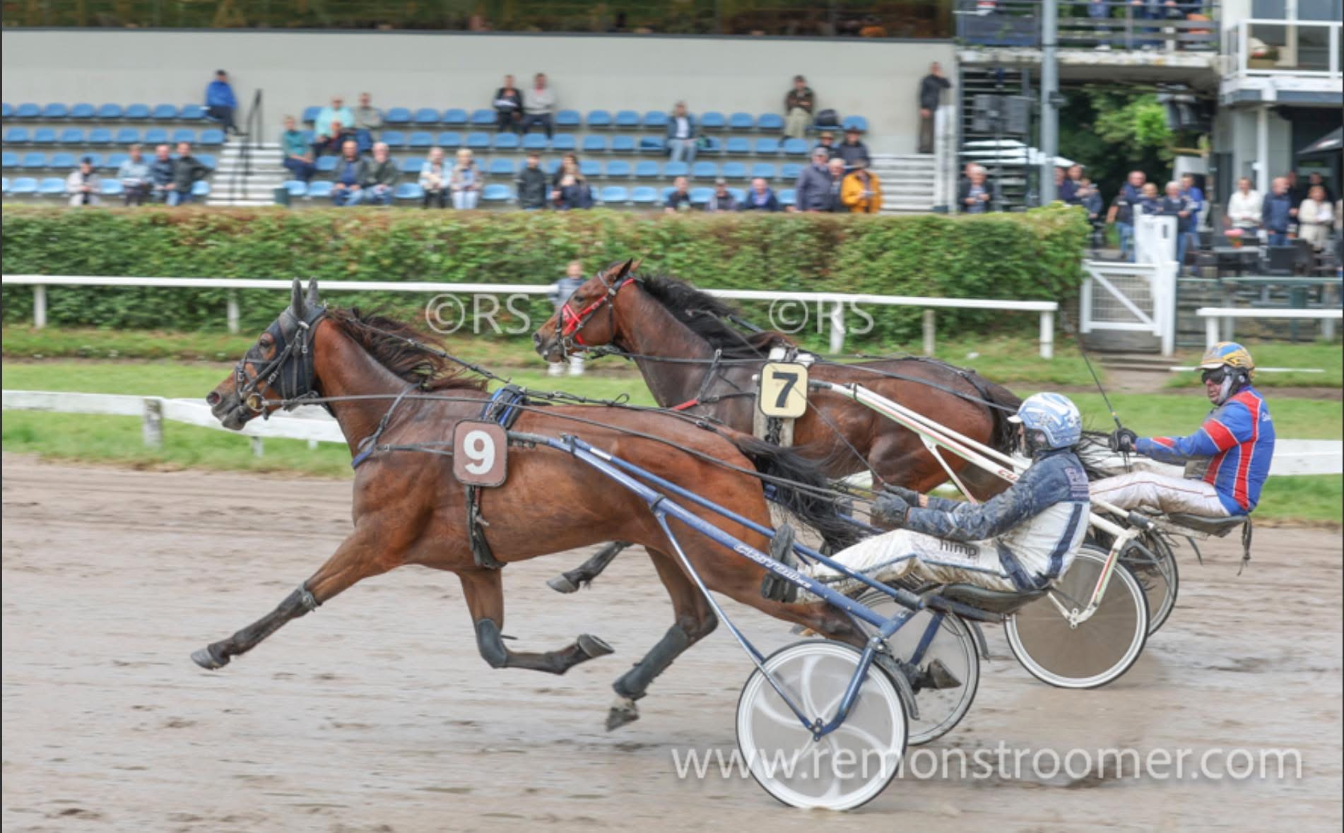 Ned wint met John op Duindigt! Precious mooi derde.
