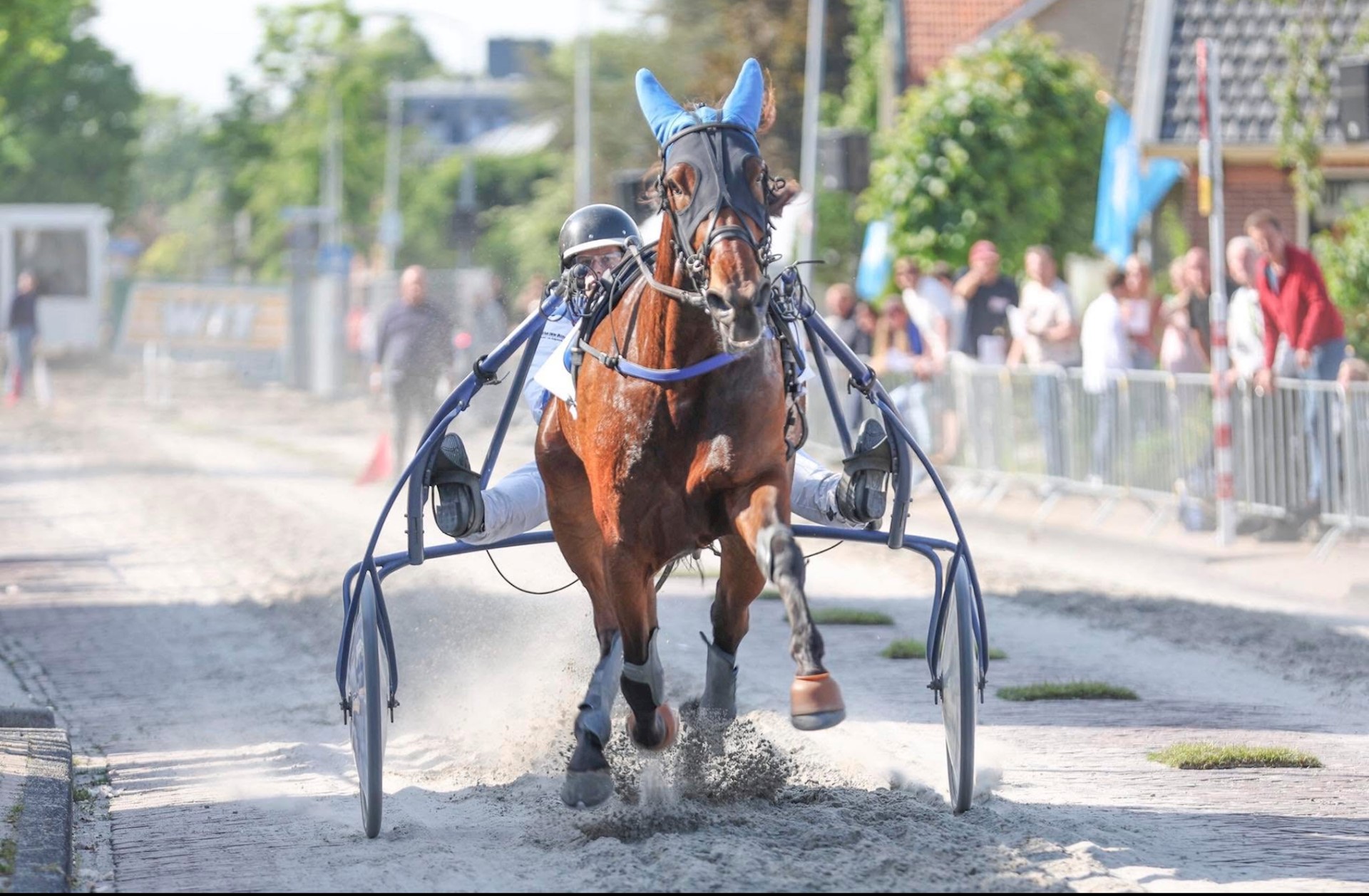 Cassiopea wint met Rosa in Beverwijk! Cora vierde.