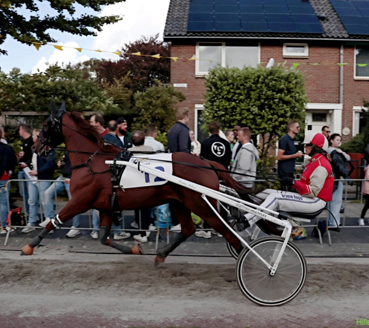 Jetlag mooi derde en Loes netjes vijfde in Enkhuizen.
